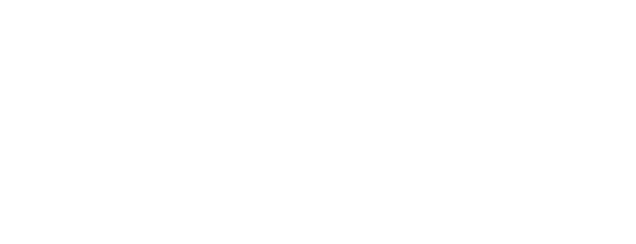 Main Logo